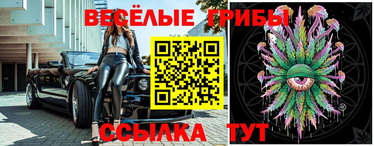 Галлюциногенные грибы Cubensis Обнинск