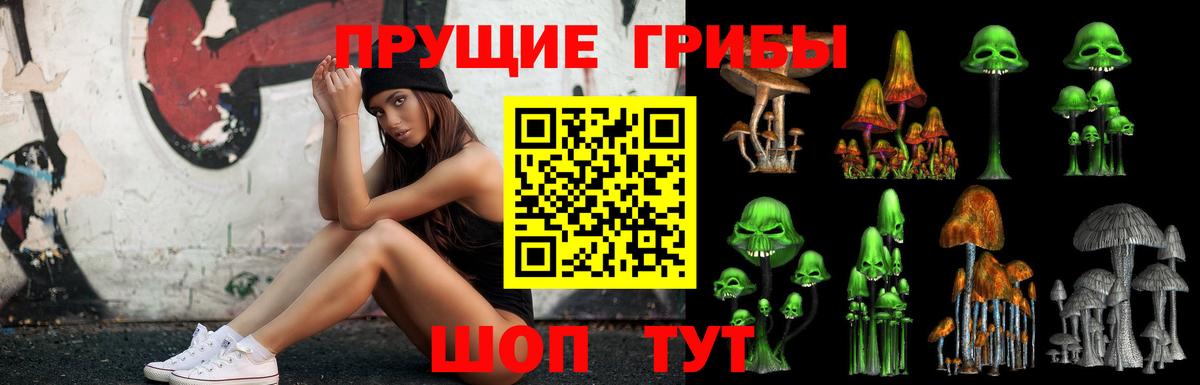 купить  цена  Галлюциногенные грибы Psilocybine cubensis  Вход с VPN  Обнинск 